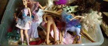 barbie poppen 50+ beschikbaar voor biedingen