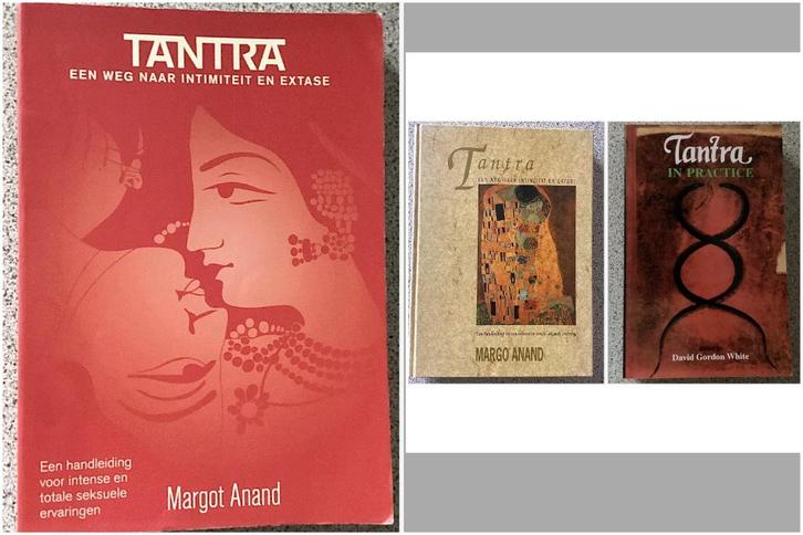 Tantra / Tantra in practice - Margo Anand / David Gordon, Boeken, Esoterie en Spiritualiteit, Gelezen, Achtergrond en Informatie