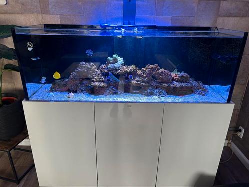 Mooie Aquaja diamond xl te koop, Dieren en Toebehoren, Vissen | Aquaria en Toebehoren, Zo goed als nieuw, Ophalen of Verzenden