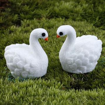 2 prachtige miniatuur Zwaantjes.   beschikbaar voor biedingen