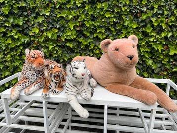 Tijger leeuwen knuffel verzameling  beschikbaar voor biedingen