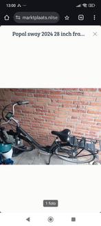 Popal sway 2024, 47 tot 51 cm, Ophalen, Overige merken