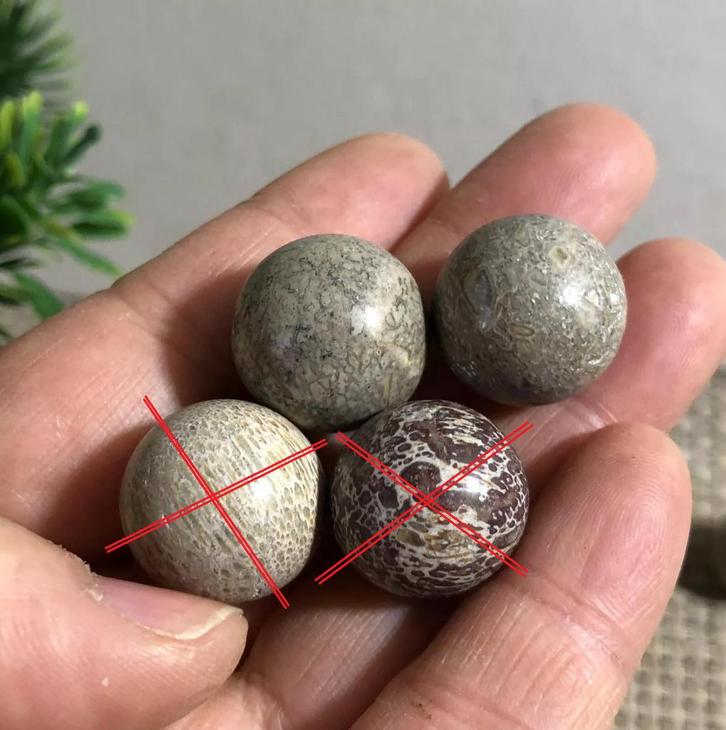 Prachtig gepolijste 100% dinosaurus bot, Verzamelen, Mineralen en Fossielen, Fossiel, Verzenden