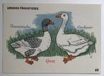 dl 1960 pluimvee gans ganzen bijzondere soorten Pommerse, 1940 tot 1960, Overige thema's, Ongelopen, Verzenden