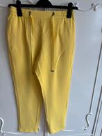 Nieuw geel pantalon broek Jessica maat 36, Jessica, Geel, Nieuw, Ophalen of Verzenden
