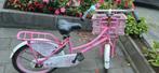 20 inch meisjes fiets, Fietsen en Brommers, Ophalen, Gebruikt, 20 inch