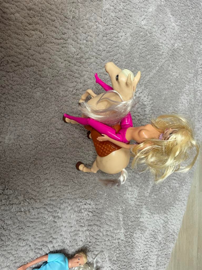 Barbie set: paard, fiets, huisje, accesoires en barbies, Ophalen, Gebruikt, Barbie