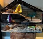 Hamster kooi! Helaas maar 4 maanden gebruikt, Kooi, Minder dan 75 cm, Zo goed als nieuw, Cavia