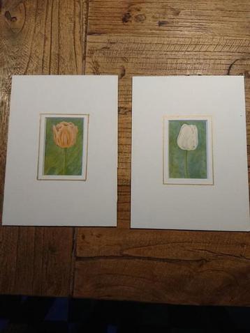 Antieke plaatjes Karnemelkzeep no 54 en 52 beschikbaar voor biedingen