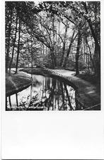 Winschoten wandelbosch gelopen ansichtkaart ( 5086 ), Verzamelen, Ansichtkaarten | Nederland, Ophalen of Verzenden, 1940 tot 1960