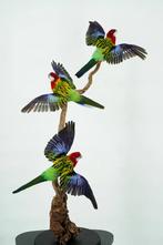 Opgezette Prachtrosella op Tak - Wildernis Atelier, Ophalen of Verzenden, Nieuw, Opgezet dier