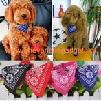 Halsband Halsdoek Bandana Hond Kat Huisdier, SUCCESS COURIER SL, Verzenden, SUCCESSSERVICE2@Hotmail.com, Nieuw