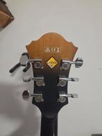 Ibanez Artcore Hollowbody Gitaar, Muziek en Instrumenten, Snaarinstrumenten | Gitaren | Akoestisch, Ophalen, Zo goed als nieuw