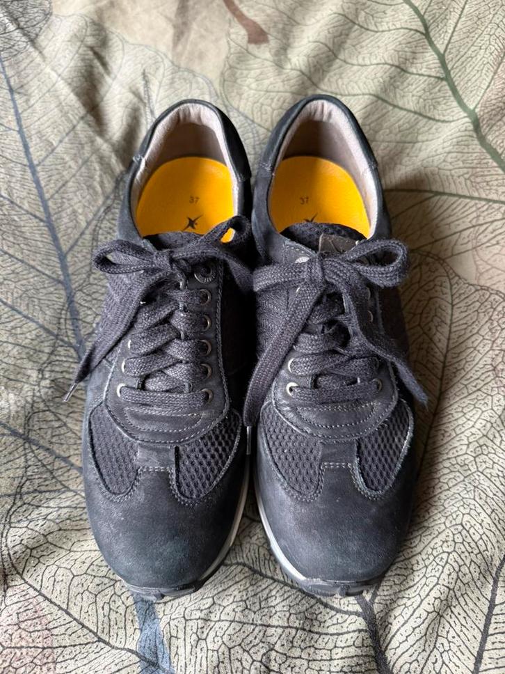Xsensible Stretchwalker gympen maat 37, Kleding | Dames, Schoenen, Gedragen, Sneakers of Gympen, Zwart, Ophalen of Verzenden