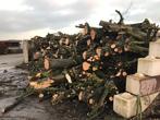 Haardhout Kachelhout Brandhout Openhaardhout, 6 m³ of meer, Ophalen, Overige houtsoorten, Stammen