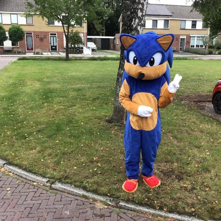 Mascotte Sonic, Hobby en Vrije tijd, Feestartikelen | Verhuur, Zo goed als nieuw, Verjaardag, Ophalen of Verzenden