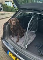 Travall rek seat leon, Ophalen, Zo goed als nieuw