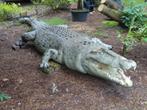 levensgrote krokodil van 5m, Tuin en Terras, Tuinbeelden, Ophalen, Nieuw, Metaal