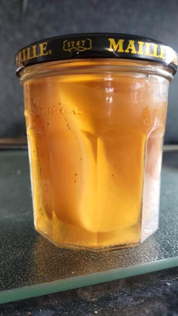 Bio kombucha scoby met starter beschikbaar voor biedingen