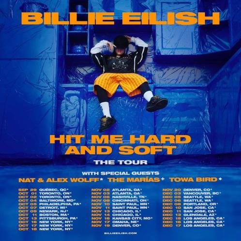 GEZOCHT: 2x Billie Eilish tickets, Tickets en Kaartjes, Concerten | Pop, Twee personen, Mei