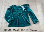 Groene velvet blouse HEMA maat 110/116, Kinderen en Baby's, Kinderkleding | Maat 110, Ophalen of Verzenden, Nieuw, Meisje, Shirt of Longsleeve