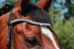 Frontriem Dobert Swarovski maat cob, Ophalen of Verzenden, Nieuw, Dressuur