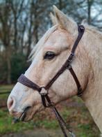 Donkerbruin Edix Rose Western Kingekruisd bitloos hoofdstel, Dieren en Toebehoren, Paarden en Pony's | Hoofdstellen en Tuigage