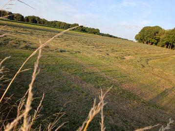 grasland beschikbaar voor biedingen