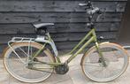 Cortina Mozzo N8 Beltdrive Nutmeg Green Matt / 56 cm, Versnellingen, 56 cm of meer, Zo goed als nieuw, Ophalen