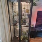 Ikea milsbo greenhouse (compleet), Ophalen, 50 tot 100 cm, 150 tot 200 cm, 25 tot 50 cm