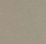 Couponnen Marmoleum Concrete 3759 nú €10,- pm2, 75 m² of meer, Nieuw, Ophalen of Verzenden, Crème