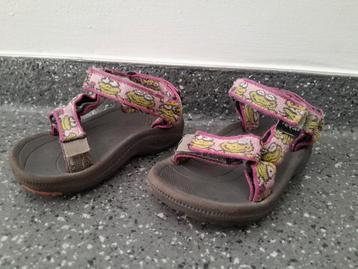Teva ~ mt 20, 5 ~ roze kikker ~ meisje Teva's  beschikbaar voor biedingen