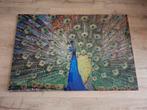 Glasschilderij pauw 120x80 cm, Huis en Inrichting, Ophalen, Zo goed als nieuw, Schilderij, 100 tot 125 cm