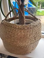 Zeegras mand rieten mand plant, Gebruikt, Mand, Rond, Ophalen of Verzenden