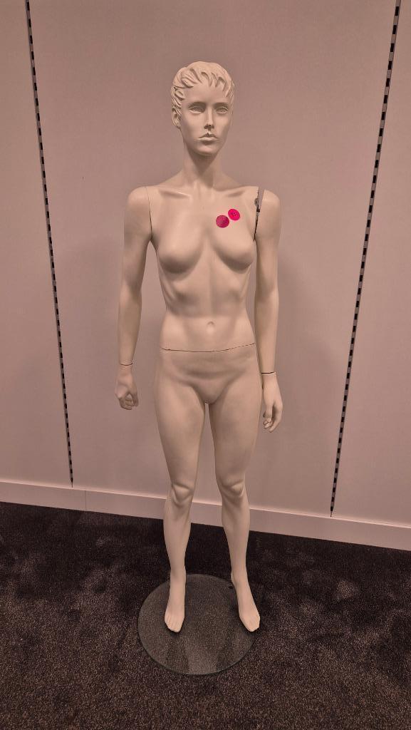 Paspop Model I Kledingpop Etalagepop Vrouwelijk Dames, Hobby en Vrije tijd, Naaien en Fournituren, Gebruikt, Paspop, Ophalen