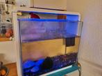 Superfish home 40 Aquarium, Dieren en Toebehoren, Vissen | Aquaria en Toebehoren, Ophalen, Gebruikt, Leeg aquarium