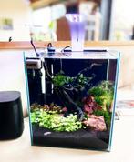 Aquarium Cube, Dieren en Toebehoren, Vissen | Aquaria en Toebehoren, Ophalen of Verzenden, Gebruikt, Leeg aquarium