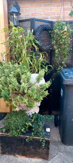Zwart kamerscherm met kist en krans en 2 planten, Ophalen, Gebruikt