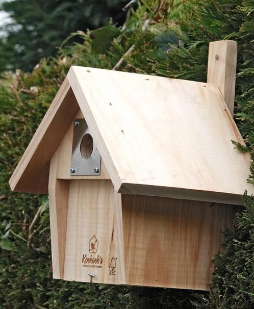 Vogelhuisje met wifi camera, Tuin en Terras, Vogelhuisjes en Vogelbaden, Nieuw, Ophalen of Verzenden