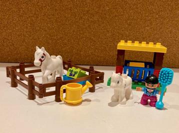 Duplo paarden 10806 beschikbaar voor biedingen