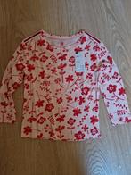 4 longsleeves maat 110, Kinderen en Baby's, Kinderkleding | Maat 110, Ophalen of Verzenden, Gebruikt, Meisje, Shirt of Longsleeve