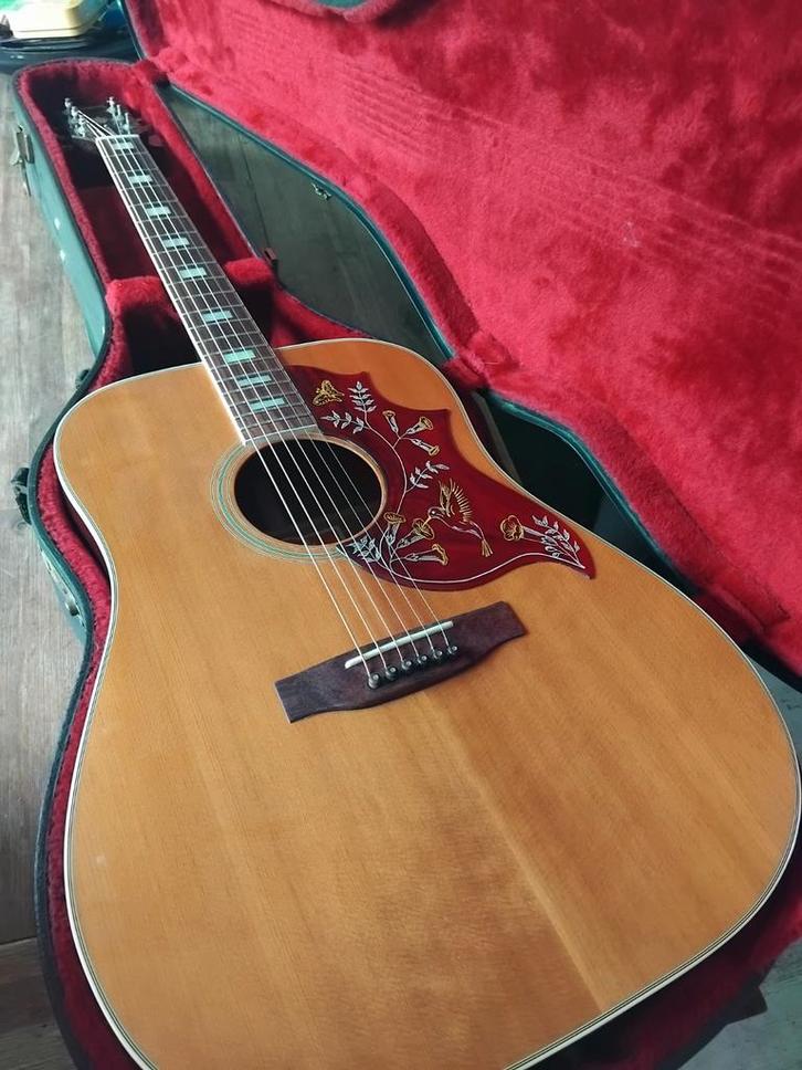 Gibson Hummingbird uit 5-12-1980, Muziek en Instrumenten, Snaarinstrumenten | Gitaren | Akoestisch, Zo goed als nieuw, Overige typen