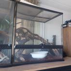 Exoterra exo terra 45 60 60, Ophalen, Zo goed als nieuw, Terrarium of Paludarium