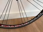 Campagnolo Khamsin Racefiets Voorwiel, Gebruikt, Campagnolo, Racefiets, Ophalen