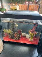 Aquarium TEAB, Dieren en Toebehoren, Vissen | Aquaria en Toebehoren, Ophalen, Gebruikt