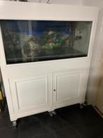 Aquarium 400 liter, Dieren en Toebehoren, Vissen | Aquaria en Toebehoren, Ophalen, Leeg aquarium