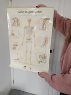 Medische foto, Gebruikt, 1980 tot heden, Foto, Ophalen of Verzenden