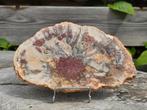 Prachtige versteend hout schijf, Ophalen of Verzenden