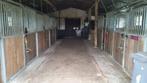 Paarden stallen, Dieren en Toebehoren, Stalling en Weidegang, Stalling