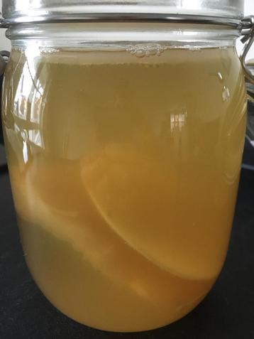 Jun SCOBY- gemaakt met biologische ingrediënten beschikbaar voor biedingen